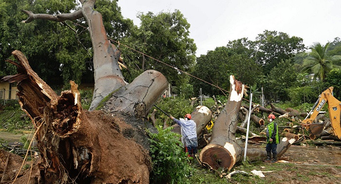 Hurricane Otto death toll in Panama rises to 8 – Civil Defense Director